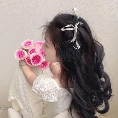 剧场版 秘密战队五连者